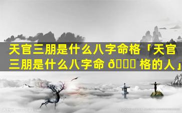 天官三朋是什么八字命格「天官三朋是什么八字命 🍁 格的人」